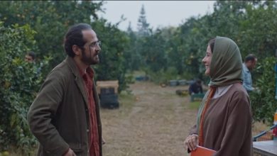 تیزر فیلم سینمایی جنگل پرتغال تیزر فیلم سینمایی جنگل پرتغال
